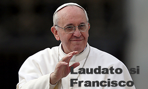Entender «Laudato si» , la Encíclica del Papa Francisco